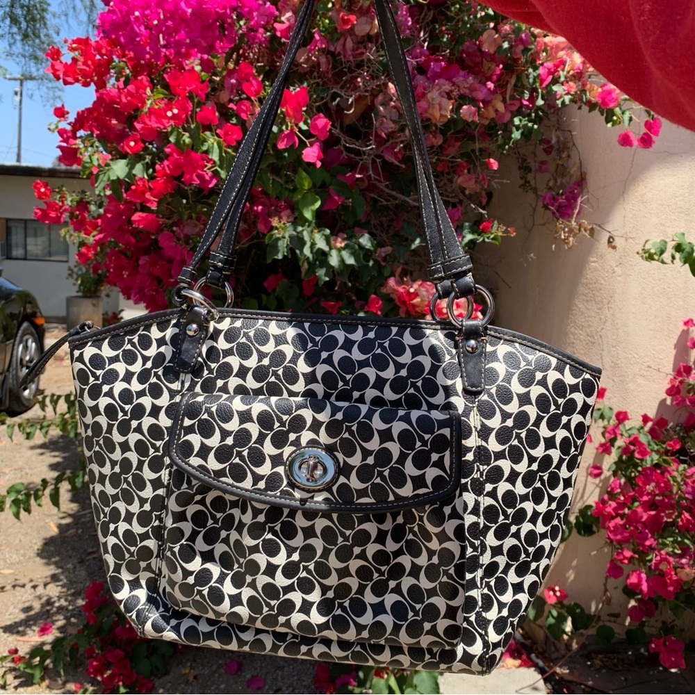 Black and White Coach Bag